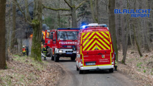 Harvester brennt komplett aus – Feuerwehr verhindert Schlimmeres im Zittauer Gebirge