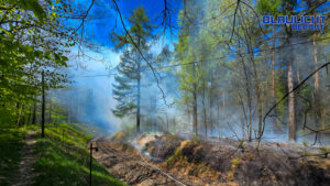 Böschungsbrand an Schmalspurbahn greift auf Wald über