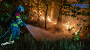 Feuerwehr verhindert größeren Waldbrand – Verdacht auf Brandstiftung